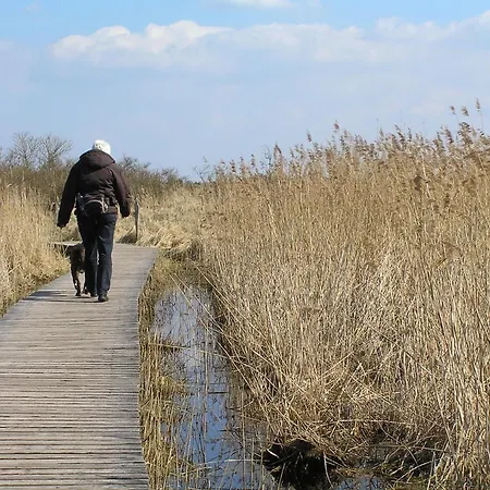 Eichenblick 프레로