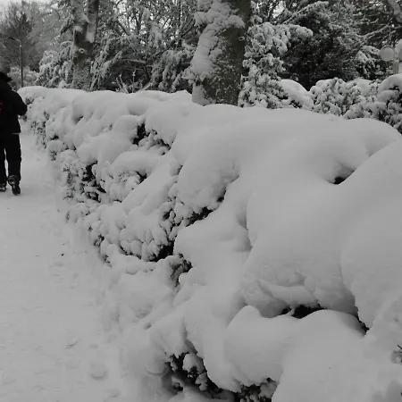 Eichenblick Apartament
