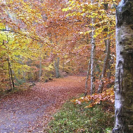 아파트 Eichenblick 프레로