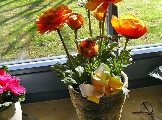 公寓 Eichenblick *