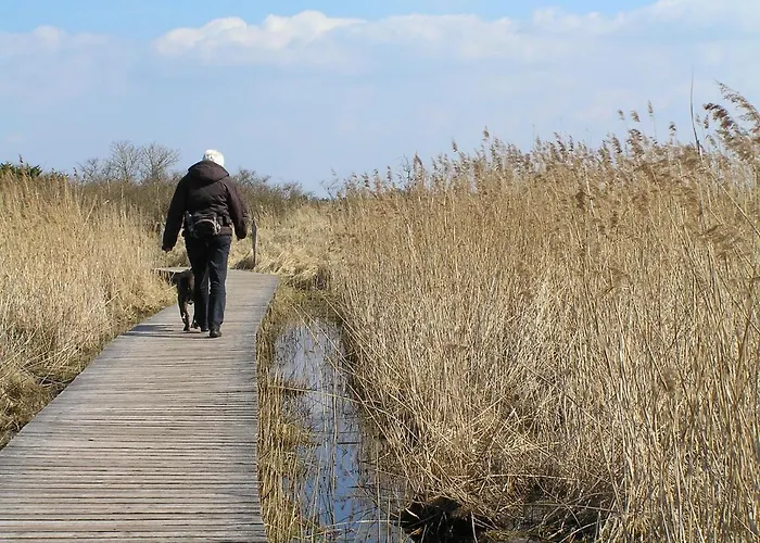 Eichenblick 普雷罗