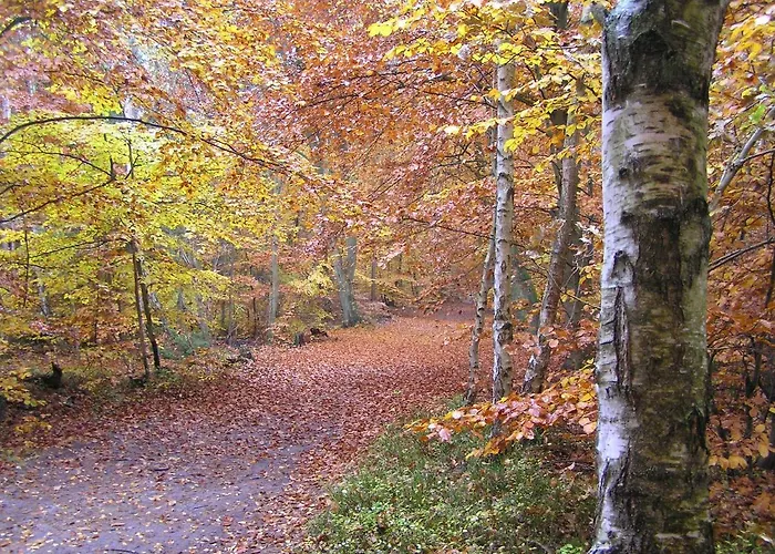 公寓 Eichenblick 普雷罗