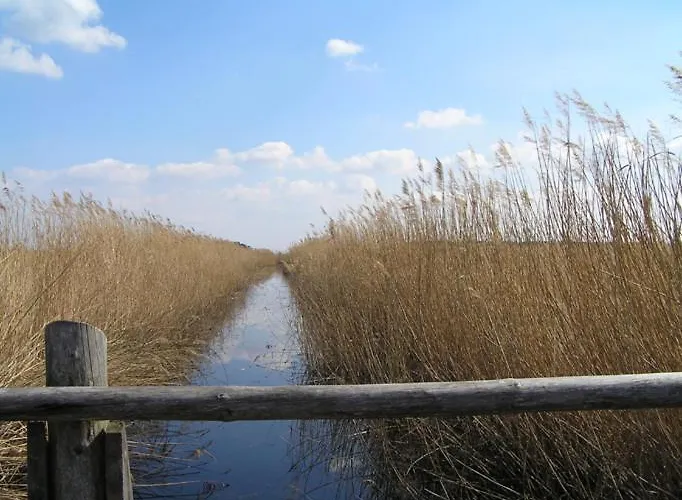 Eichenblick 普雷罗