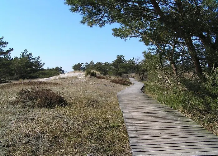 Eichenblick * 普雷罗